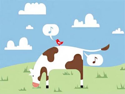 Is Pasture Grass the Solution to Methane from Cows? Image